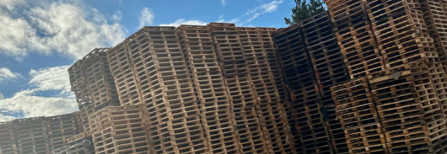 Pallet-Supply